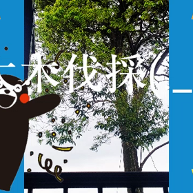 最近2の画像
