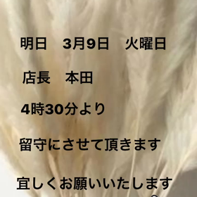 お知らせ！の画像