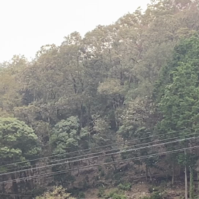 台風が近づいてきてるの画像