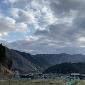 鳥たちの画像