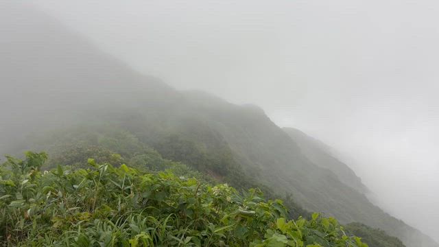 千本檜小屋の記事動画