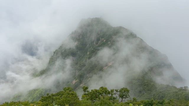 千本檜小屋の記事動画