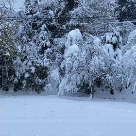 雪景色の画像