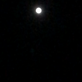 十五夜の画像