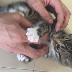 梅ちゃん動画  2の画像