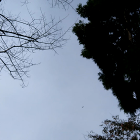 今日は鍋の日の画像