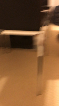 ふーちゃんただいま！の記事動画