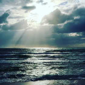 今日もいつもの浜辺へ20171115の画像