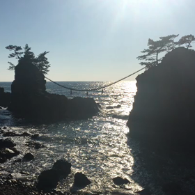 今日もいつもの砂浜へではなく20171106の画像