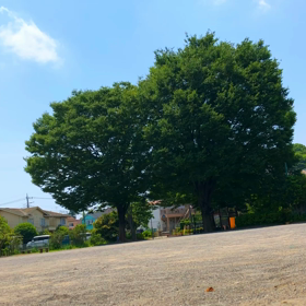 2018/05/27の画像