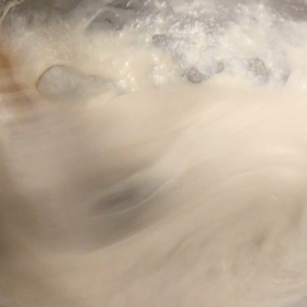 白胡麻豆腐の画像