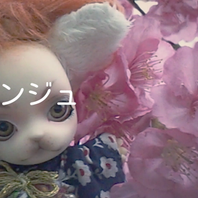 動画 パンジュの画像