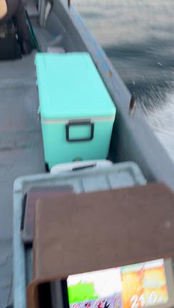 ドテラ流しのジギングですが(；ω；)の記事動画