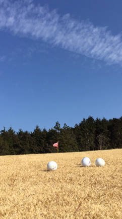 KAWAI CUP 2016。の記事動画