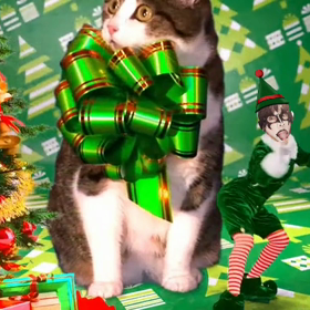 今年もAPCクリスマス動画じゃぁぁぁぁ！の画像