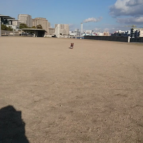 お散歩んぽんの画像