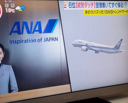 渡辺あいかのTBSテレビデビュー♡の記事動画