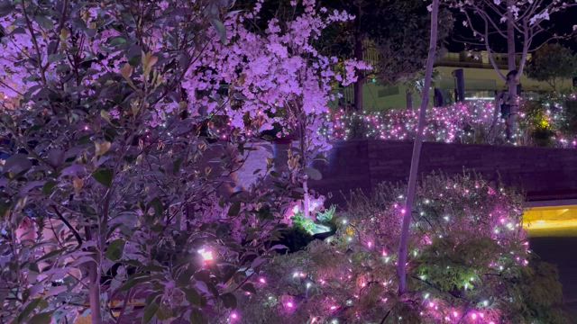 cherry blossams2️⃣Dai Nagoya Building大名古屋ビルディングの記事動画