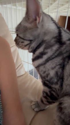 成功例を聞いてもその通りにやらないで遠回りするひとたちの記事動画