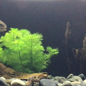 復旧復帰の画像