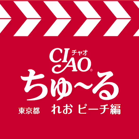 ちゅ〜るＣＭ風動画の2本立てですよ♪の画像