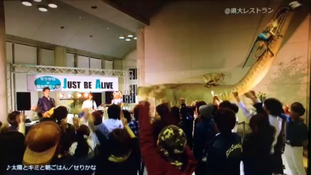 CMへの出演が決定しましたー☆(映像有♪)の記事動画