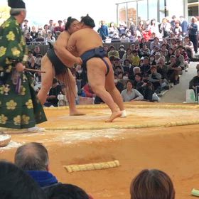 昨日の日曜日はの画像