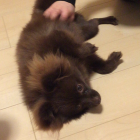 気持ちいいなぁ〜の画像