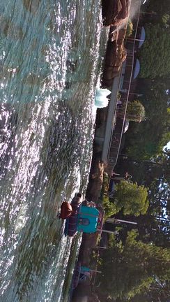 夏だ！海だ！東京ディズニーシーだー！(8-8編)の記事動画