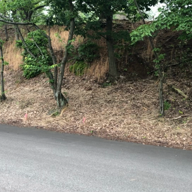 ちはやふるinあわらの画像