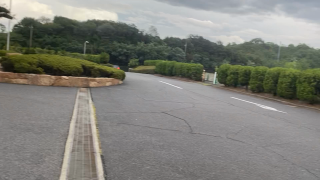 コーンの気持ちになってみたの記事動画