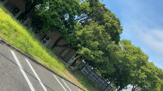 お散歩に出かけよう〜の記事動画