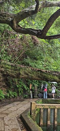 東国三社巡り（鹿島神宮・息栖神社・香取神宮）への記事動画