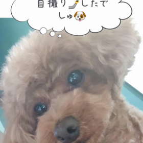 自撮りの画像