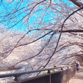 コロナの画像