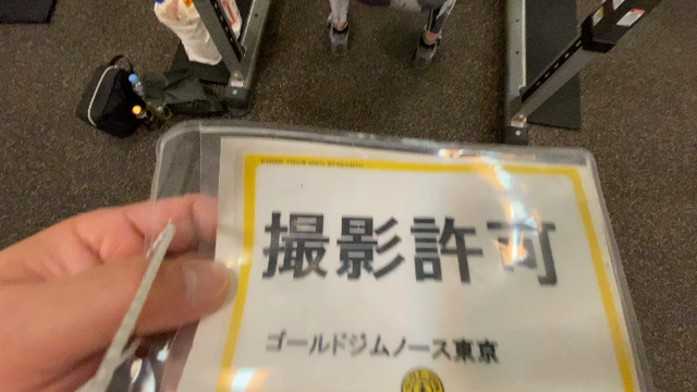 タイプＹ式スクワット動画の記事動画