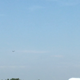 2019年令和1年千歳基地航空祭F-16動画①の画像