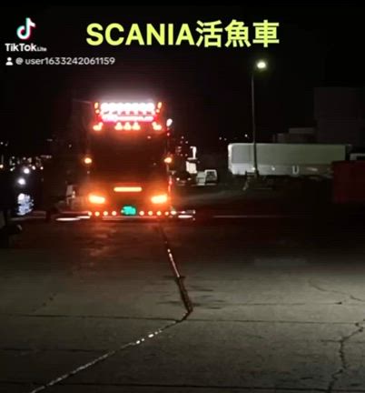 小樽港の記事動画
