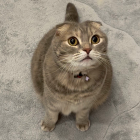 そんなに興味ない・・・と見せかけて！の画像