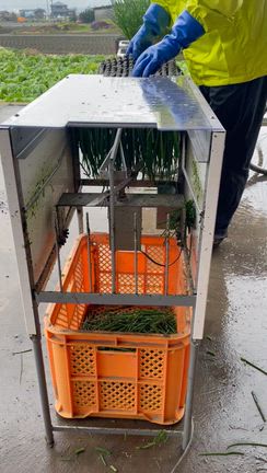 雨の日曜日の記事動画