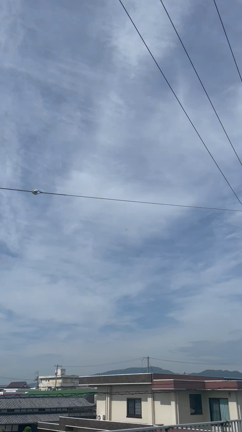 関空に降りる飛行機はうちの上飛んでる便多いです。の記事動画