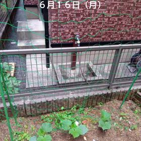 6/16〜6/22までのVlogの画像