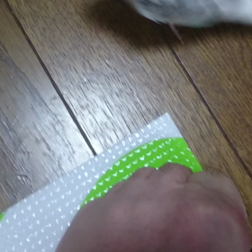 本日のユキさん。の画像