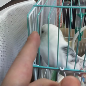 離さない。の画像