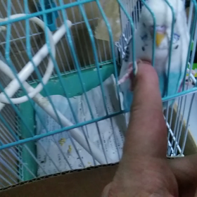 本日のユキさん～荒ぶっておられます～の画像