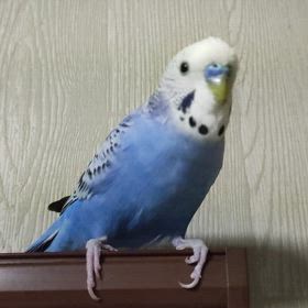 我が家の目覚まし時計の画像