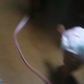 ほんじつの来訪者　その２。の画像