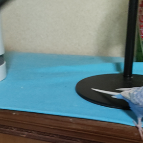 ちゃんと二匹写ってます。これでも。の画像