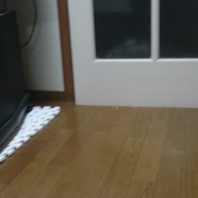 本日のユキさん。の画像