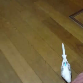 本日のユキさん。～翼があるのを忘れています～の画像